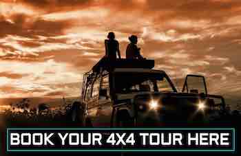 Book-you-4x4-tour-in-Spain-or-Portugal-here